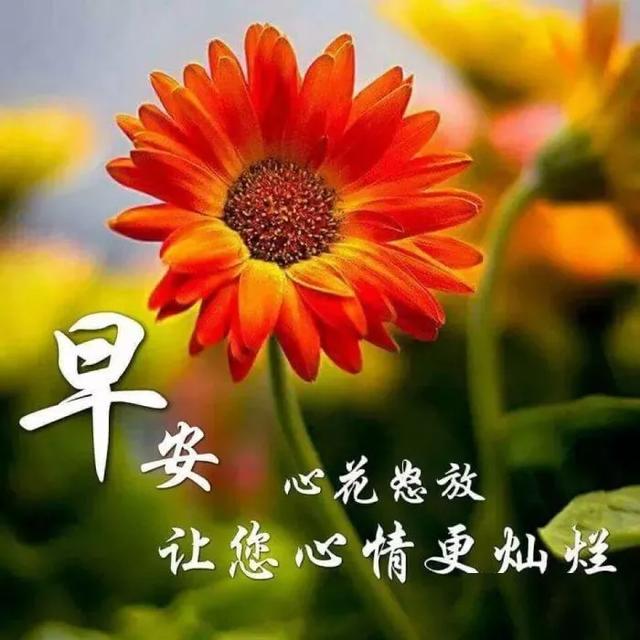 4月早晨好祝福语简短祝福语2020春天群发暖心早安问候语图片