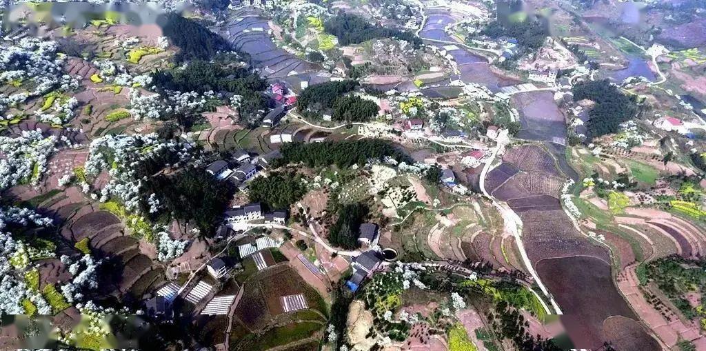 (十五)巴中市 巴州区:化成镇长滩河村,清江镇巾字村,梁永镇宏福村,水