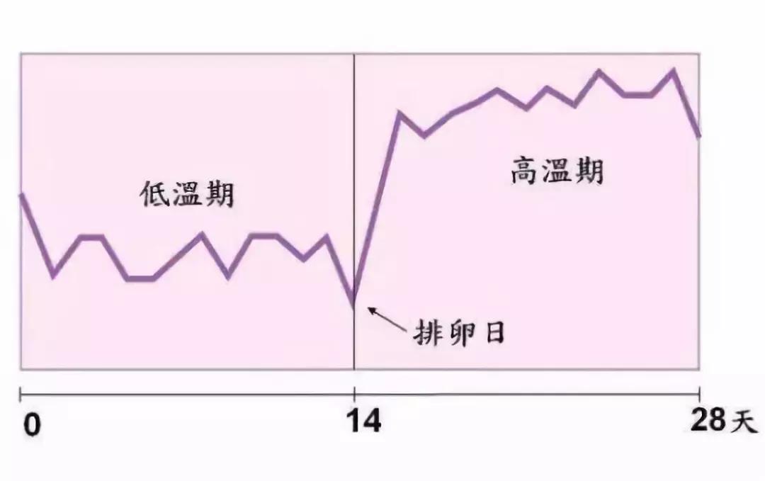 会随着生理周期的改变而发生变动,而且还跟排卵怀孕有很大关系