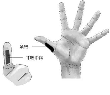 手麻不要怕,不妨搓揉这里