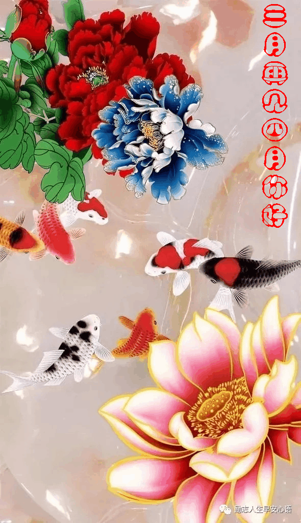 590_1024 竖版 竖屏