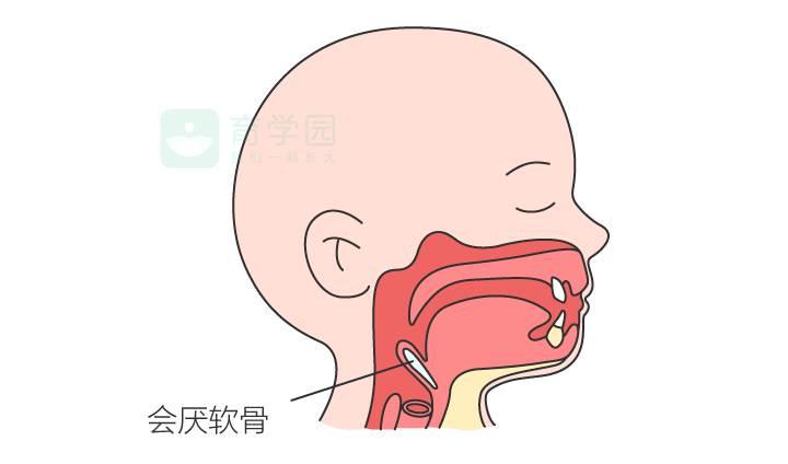 通常到宝宝1岁后,喉软骨就会钙化变硬,也就不会出现呼噜声和呛奶了.