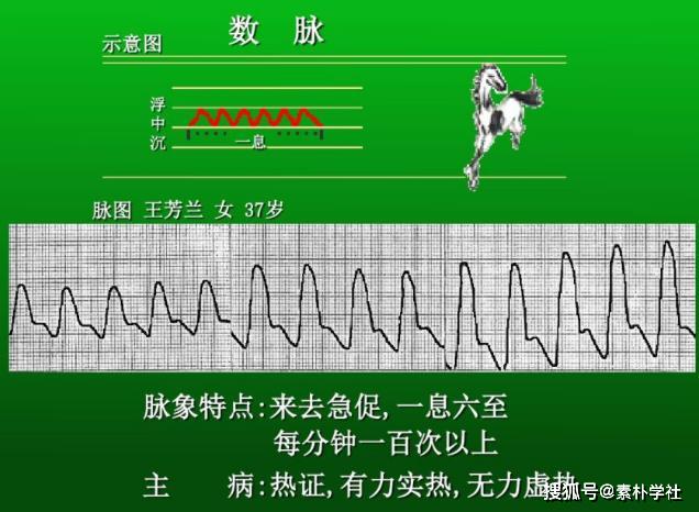 脉诊的核心部分:正常脉象与病理脉象各是什么触感?