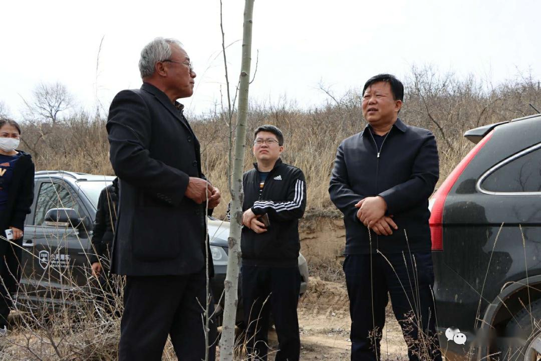 造林"大户"杜芳秀向调研组介绍林木种植经验调研组在