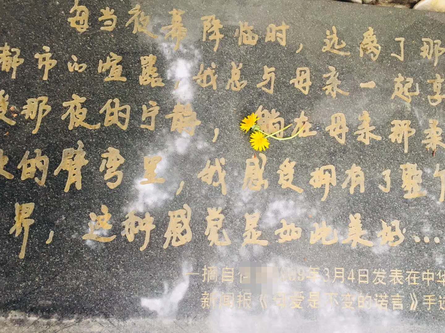 东城老人口罩_东城卫(3)