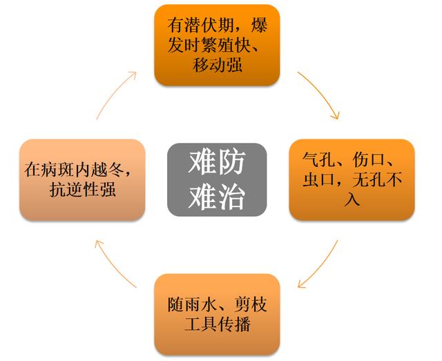 什么是化学防治 304a21c2dc914093931911362be41dac.jpeg
