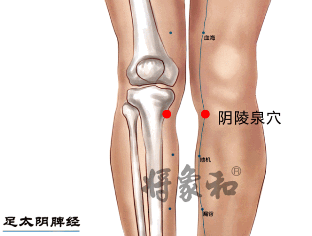 中医告诉你：痰湿是什么？
