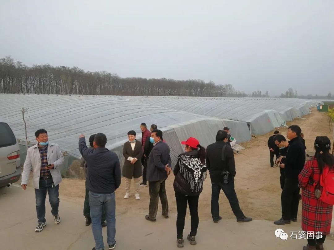 新乡市旅游汇联盟到石婆固镇考察乡村旅游项目(图11)