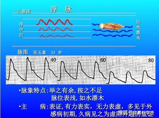 脉诊的核心部分正常脉象与病理脉象各是什么触感