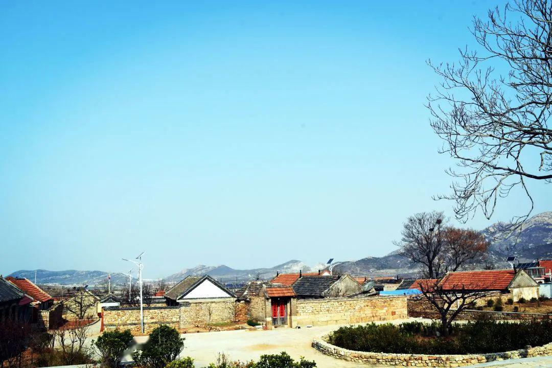平度大泽山哪个村,太俊了