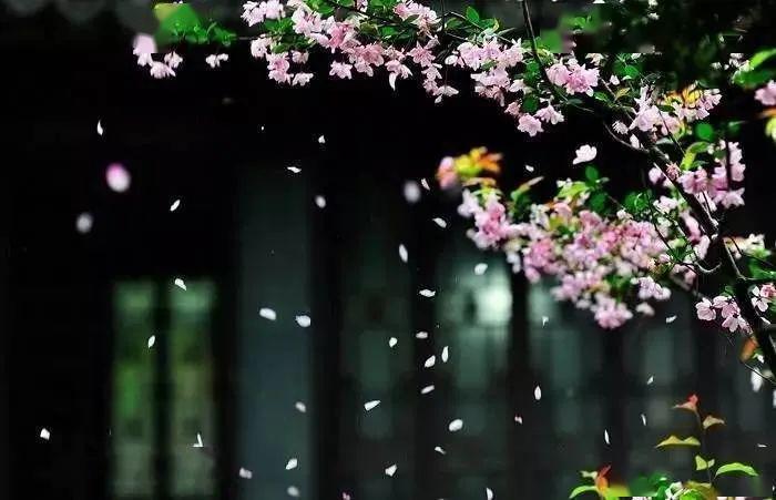 ֦ʱ, շ˭. 紵仨׷, 仨׹¥.
