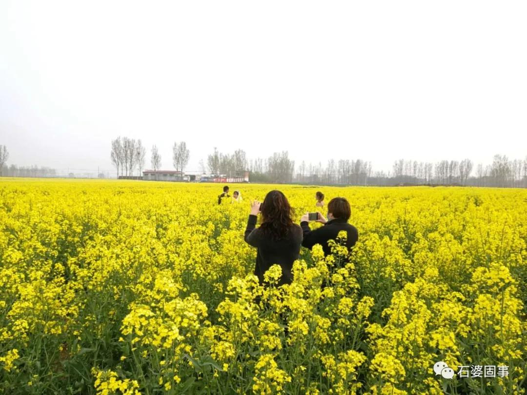 新乡市旅游汇联盟到石婆固镇考察乡村旅游项目(图5)