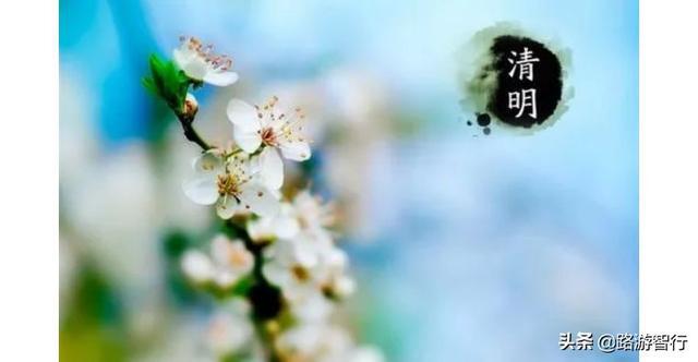 怎样在网上祭祀 561b8423119e46a5929b7d9191cd7af6.jpeg