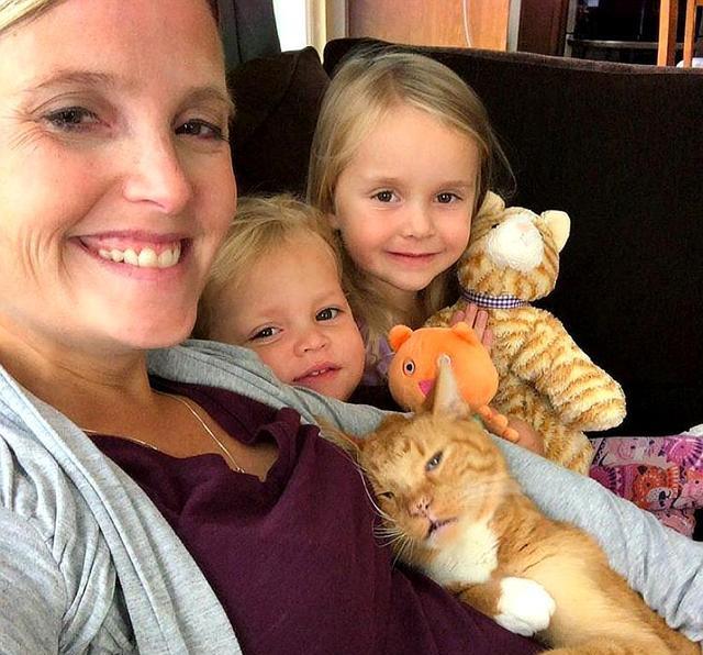 喵喵喵是哪首歌 5e04d4d450df48f7b5f0dd67ab569291.jpeg