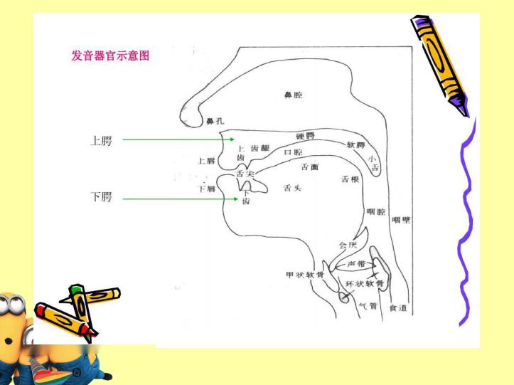 【今日好课】练习舌根音g,k,h的发音