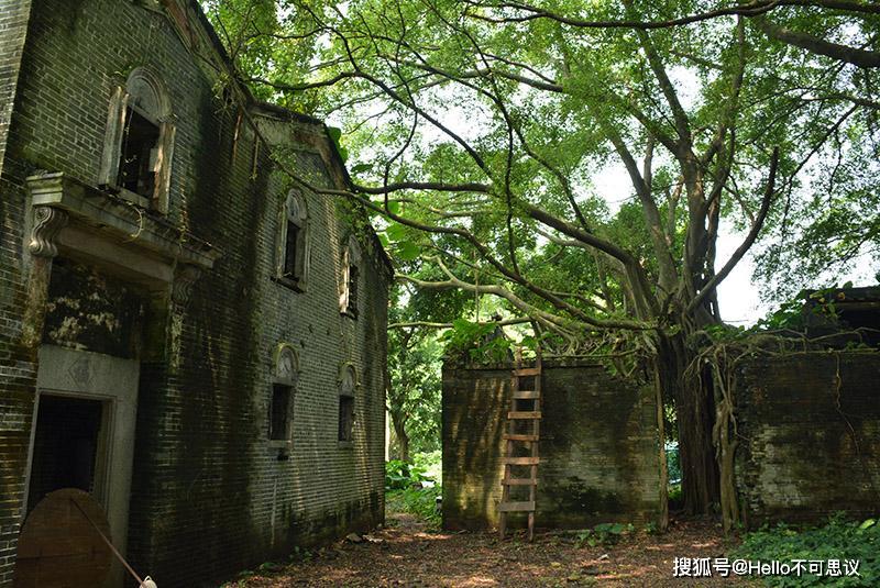 最恐怖的无人村荒废20年不见天日曾经的欢声笑语如今荒无人烟