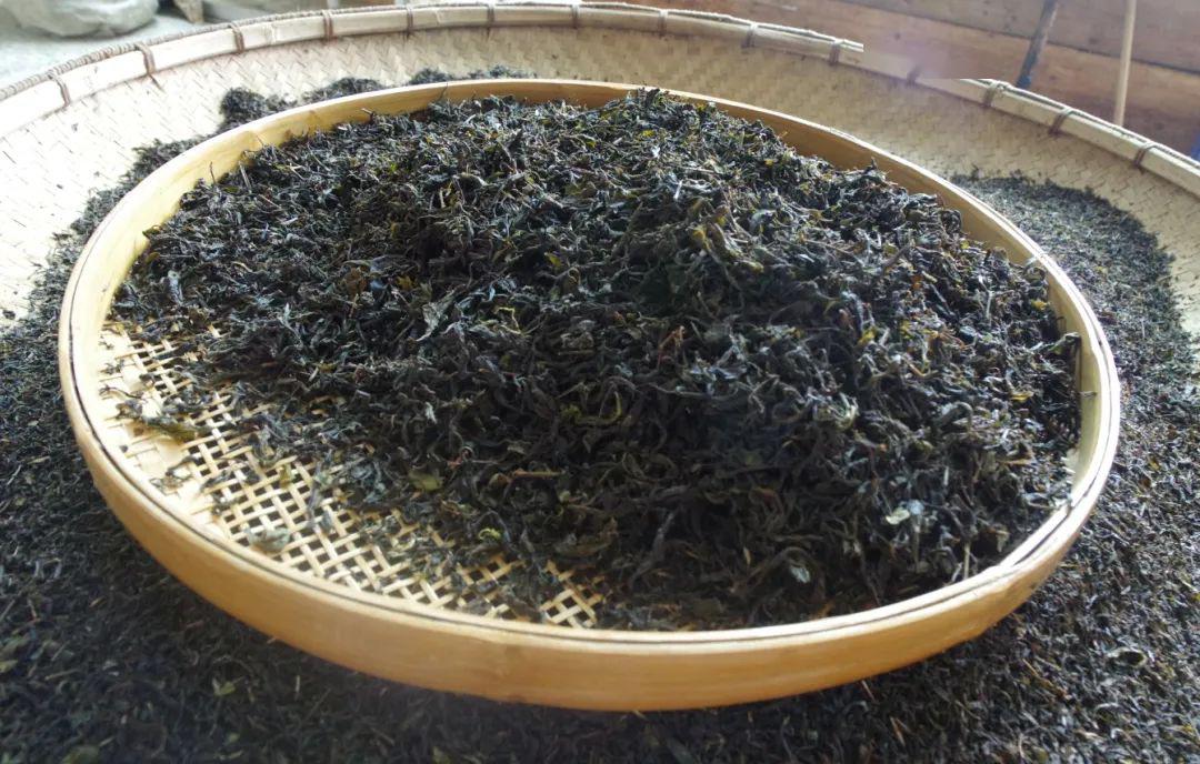 安化黑茶黑毛茶标准制作过程中的茶人茶事