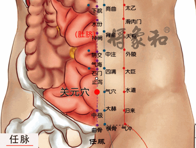 中医告诉你：痰湿是什么？