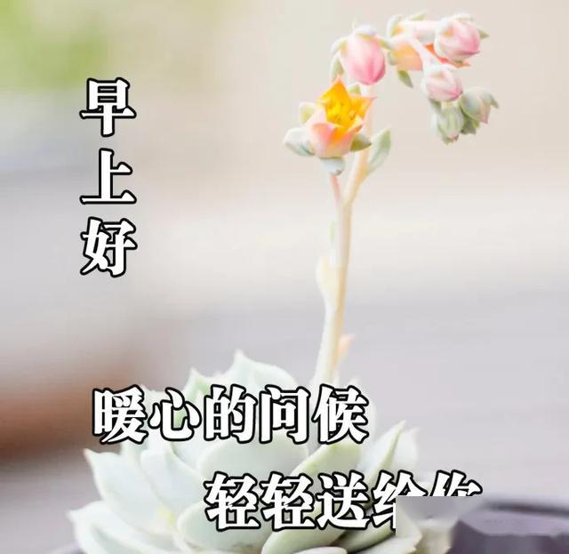7c20d90ec79d4c1ebc22c47ebb761d9f.jpeg