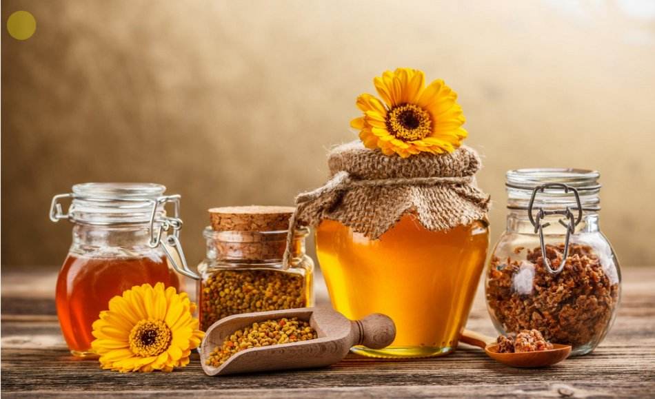 土蜂蜜怎么吃减肥
