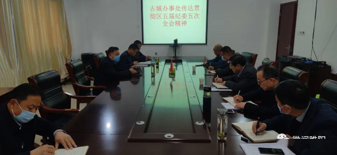 【贯彻落实】全区各单位迅速行动 掀起贯彻落实五届区纪委五次全会精神热潮_工作