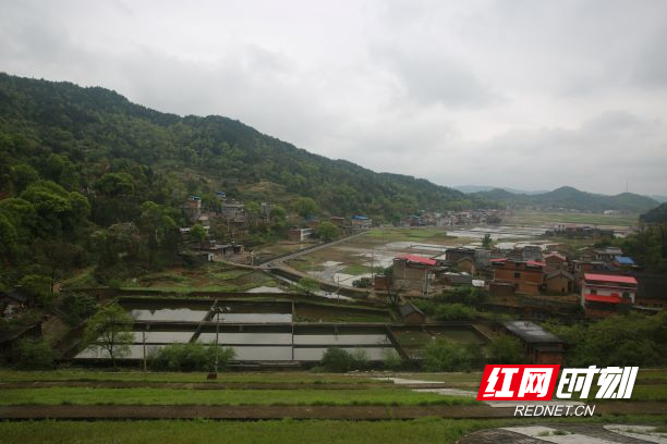 县水利局等单位负责人深入祁水河老屋冲河坝,黎家坪综合供水公司,黎家