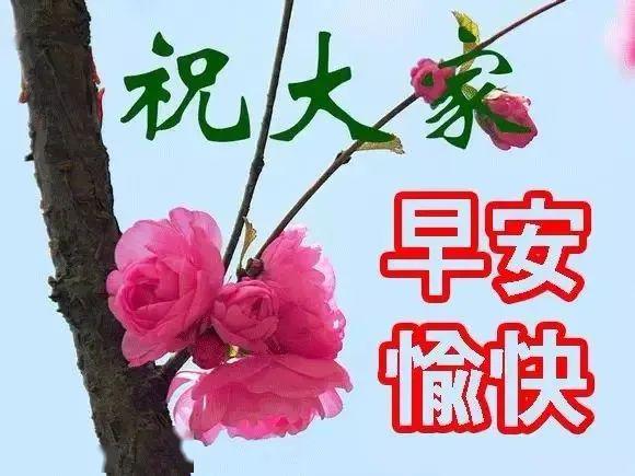 早上好问候美图,早安问候语句.