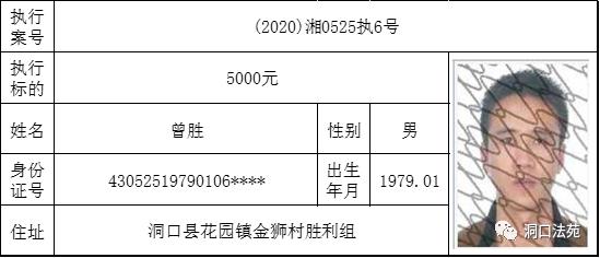 洞口人口多少人口_硅胶娃娃洞口图