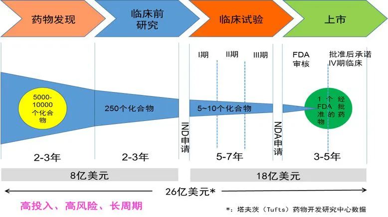 新药研发流程图