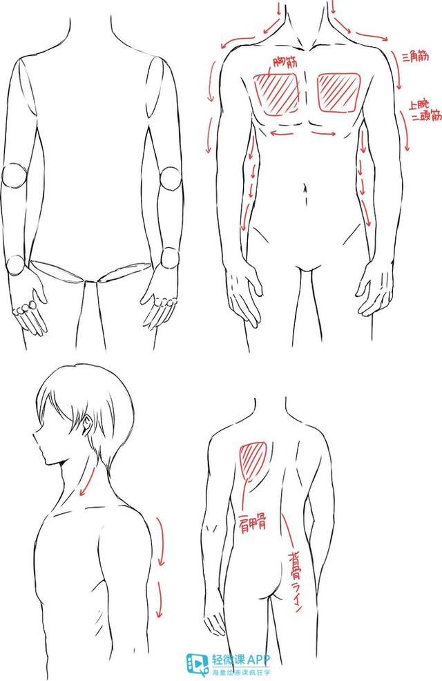 怎么画动漫男生?教你男性帅气身体姿势的画法