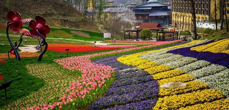 云春游# 走入花海竹林,山岳湖泊……去赏春满湖北