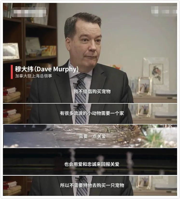 什么时候才能不用颠沛流离 ac68a76027b84f6888dcc717c18449b9.jpeg