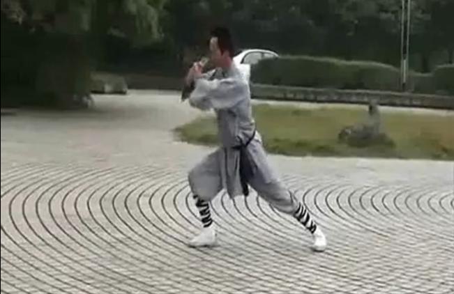 功法沛县武术有八大门派:赵派大洪拳,三晃膀大洪拳,武当大洪拳,二洪拳