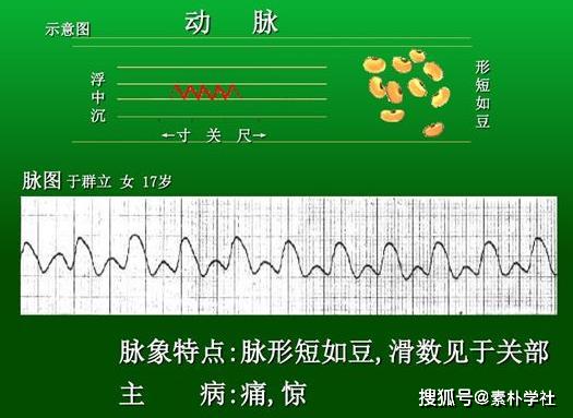 吃了吗您bot