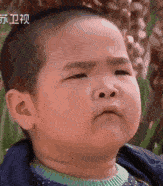 如何制作动图表情包 b287b0709a674616b893cd357135f180.gif