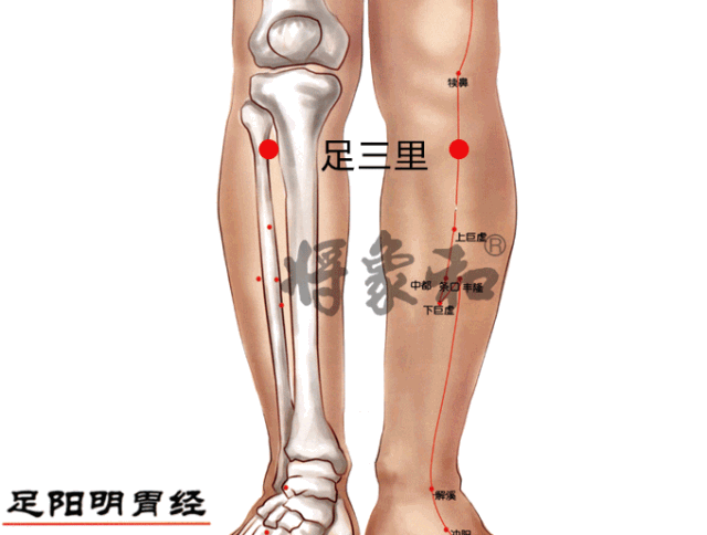 中医告诉你：痰湿是什么？