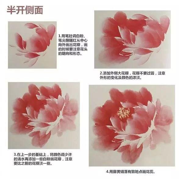 国画入门国画牡丹花头不同开放时期的画法