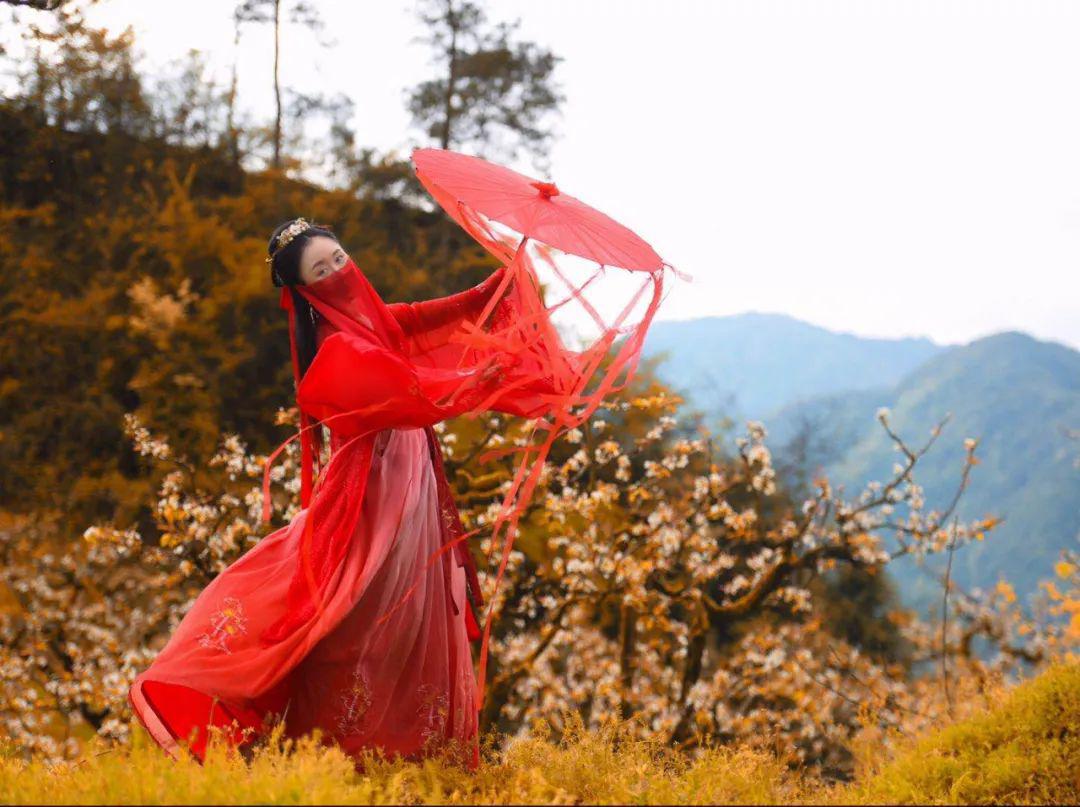 天台摄记之"岭上李花芳雪舞,一袭红衣倾风华┃拍摄:后岸80号(寒山居)