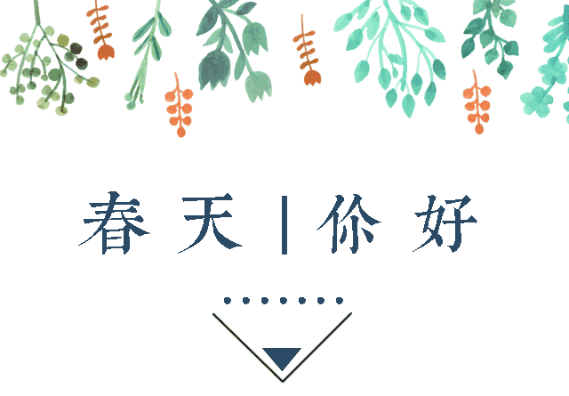 久一切都往好的方向发展若有若无的花香清脆的鸟啼拂面的微风春天已至