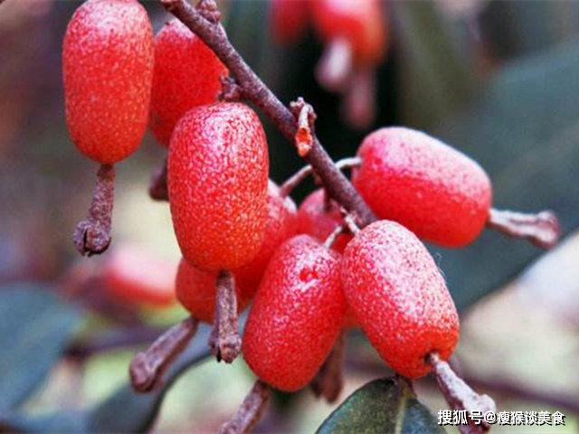 这5种美食只有春天才能吃到错过了只能再等一年现在吃刚刚好