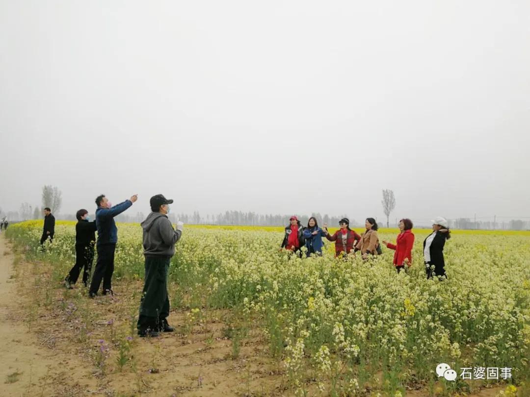 新乡市旅游汇联盟到石婆固镇考察乡村旅游项目(图4)