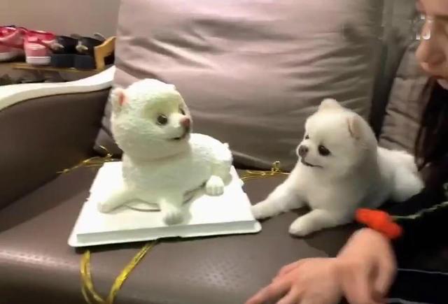 关晓彤愚人节不愚人而是“愚狗”，发布趣味视