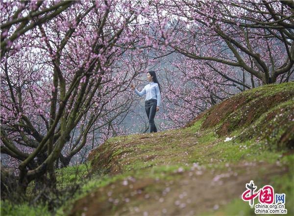 微信之父张小龙祖籍踏春山川灵韵风景如画