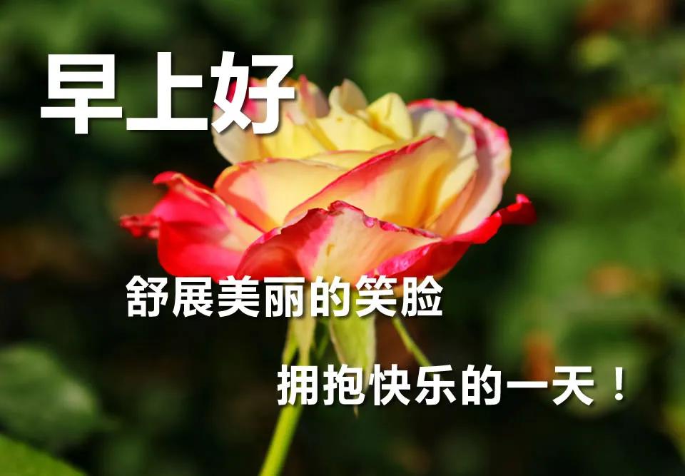 四月早上好祝福语唯美图片 早晨好温馨表情包