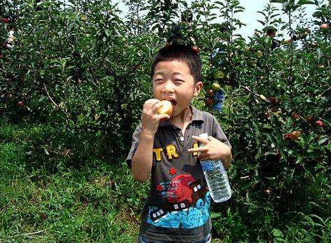 [孩子]少给孩子吃5种水果，伤脾还上火，家长别不听儿科医生：4月起