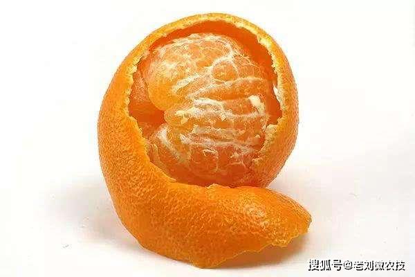 橙的种类名称 d87d651c6d254cd7965854aead684c7d.jpeg