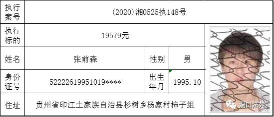 洞口县多少人口_洞口县人民医院图片