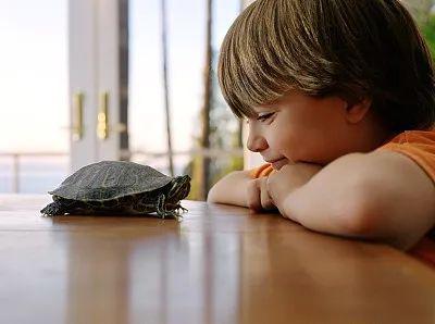 「私处」小男孩的私处也需要护理!家长们别忽视