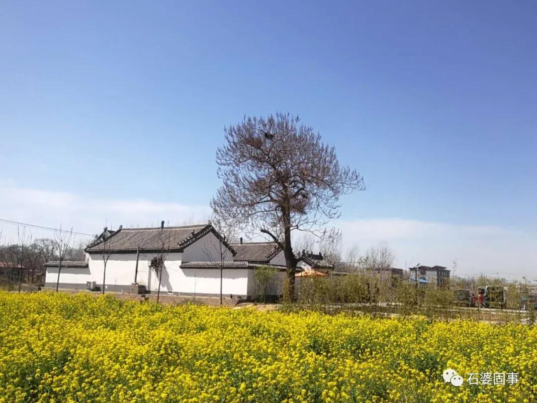 新乡市旅游汇联盟到石婆固镇考察乡村旅游项目(图10)
