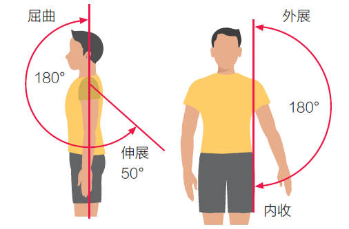 肩关节各大关节正常的活动范围是多少?